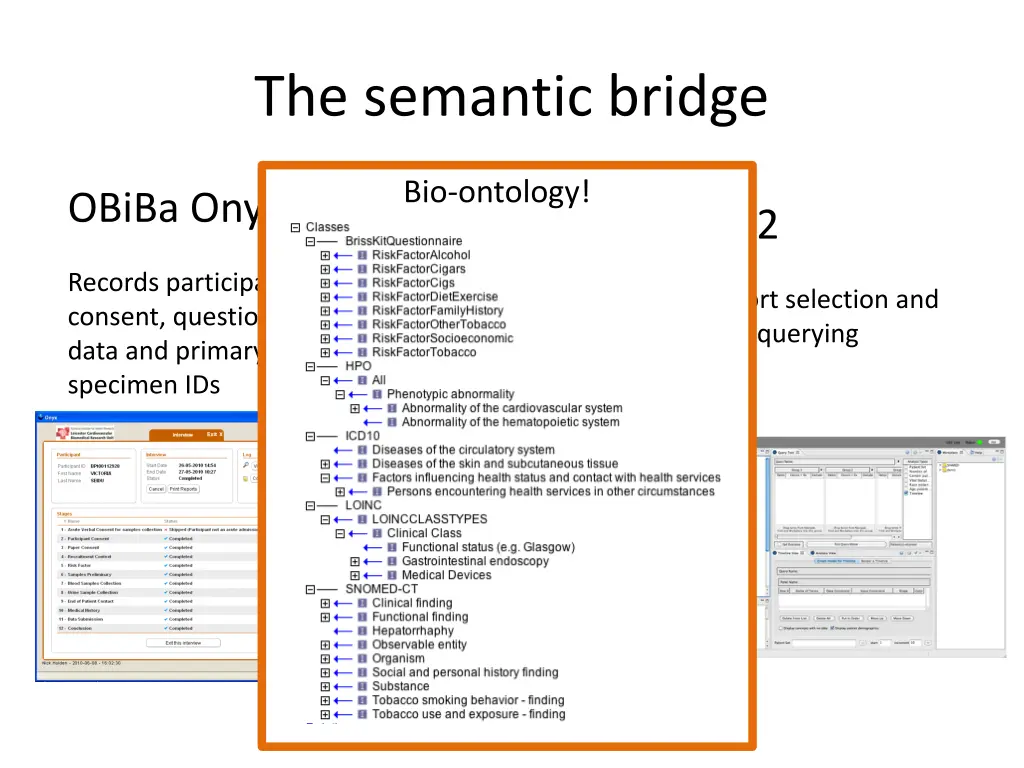 the semantic bridge
