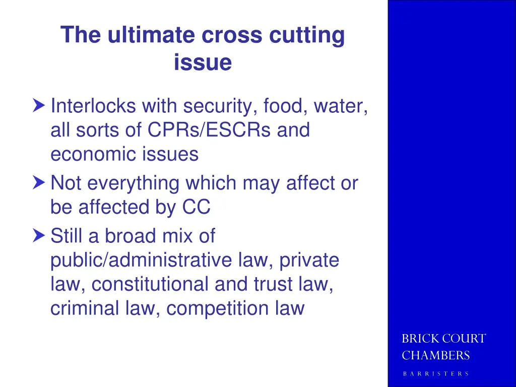 the ultimate cross cutting issue