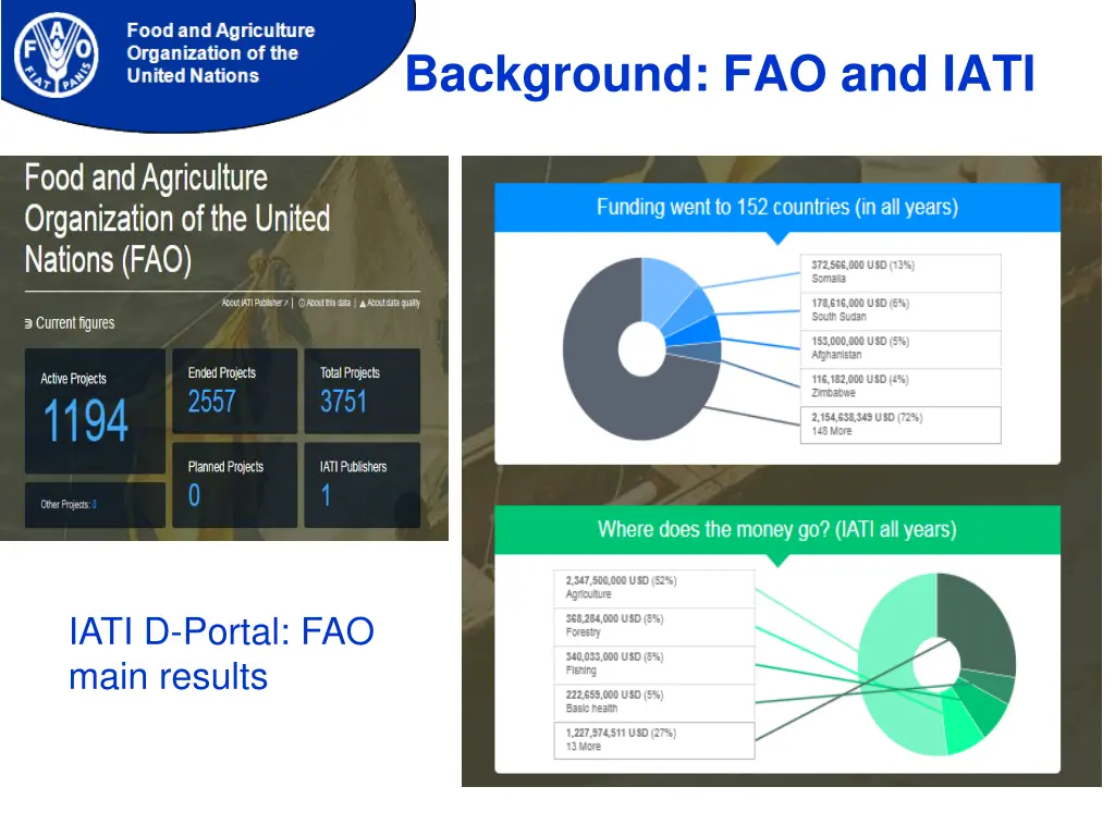 background fao and iati 1
