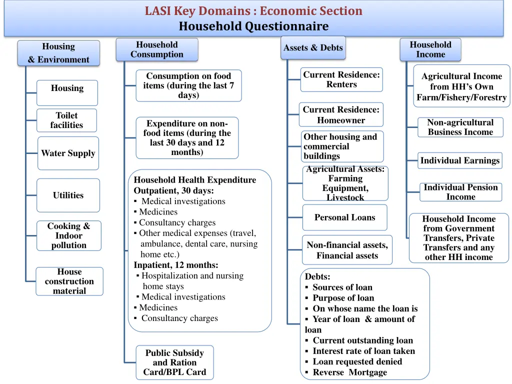lasi key domains economic section household