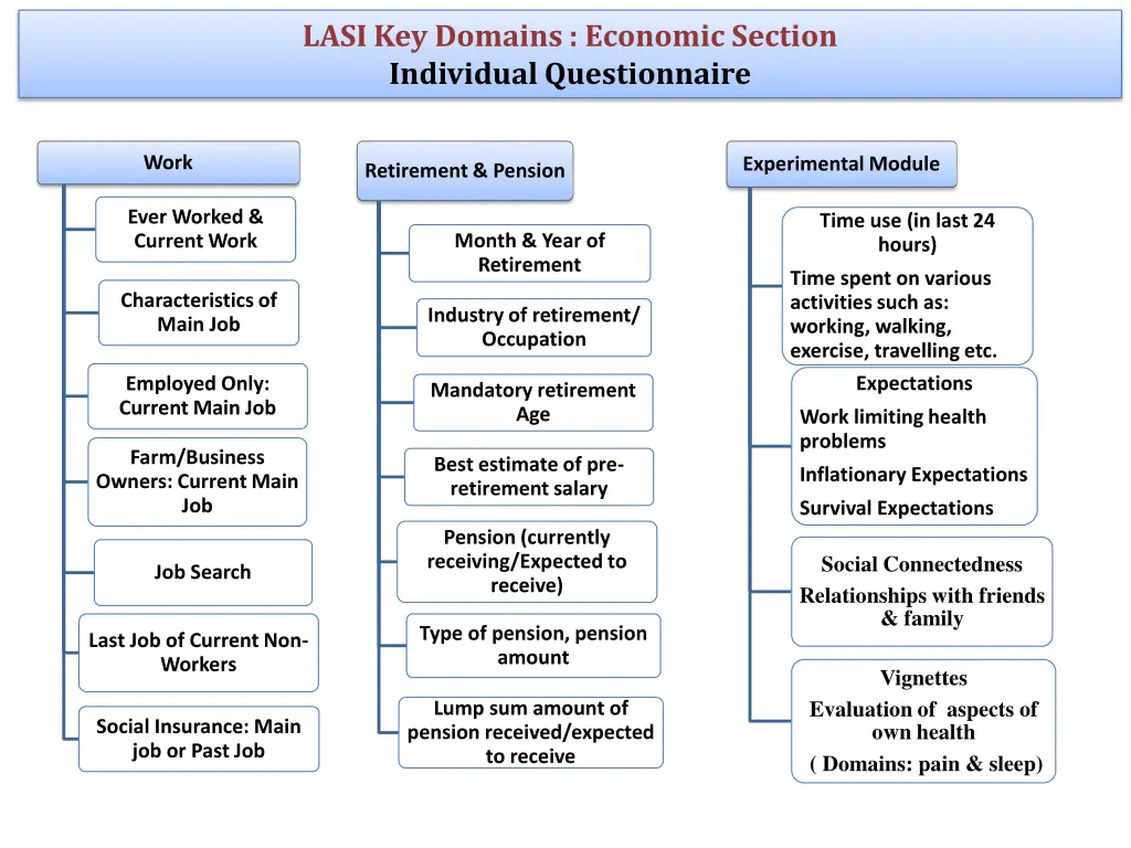 lasi key domains economic section individual