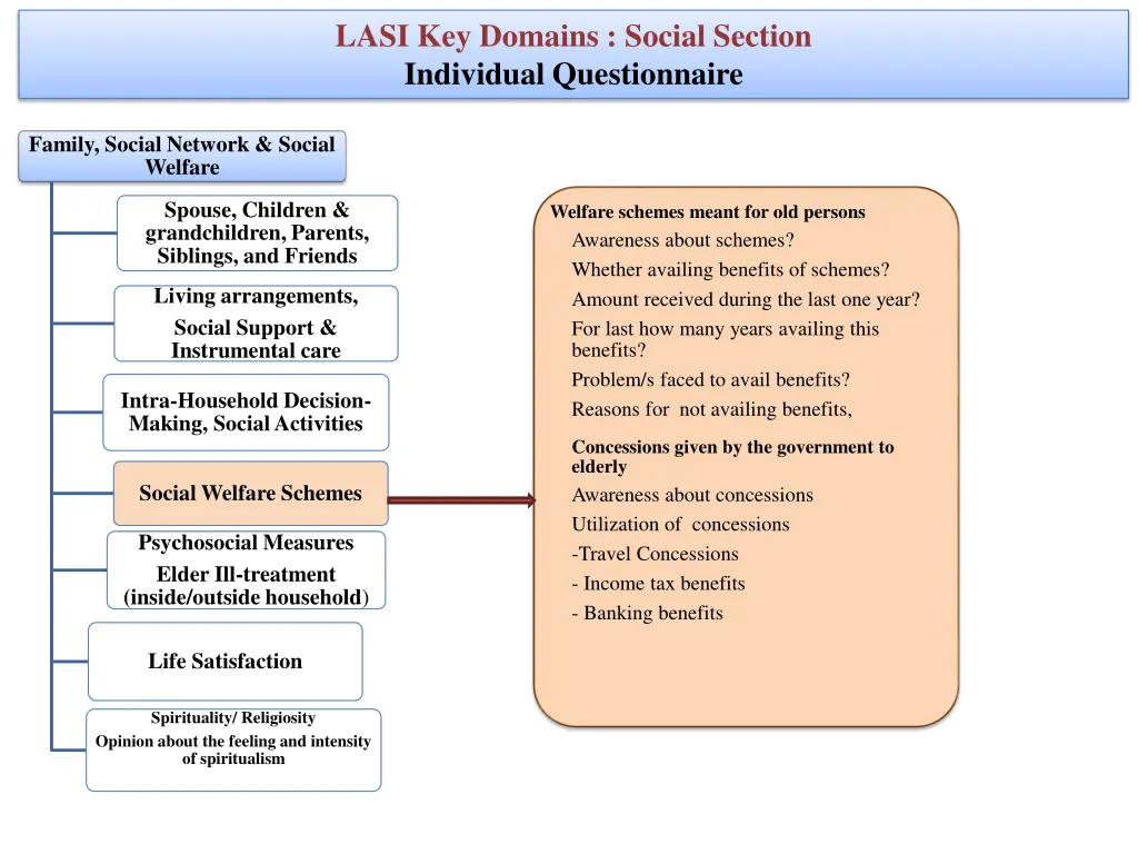 lasi key domains social section individual