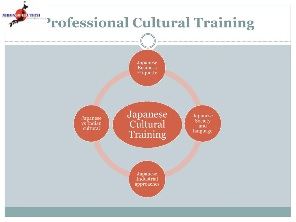 professional cultural training