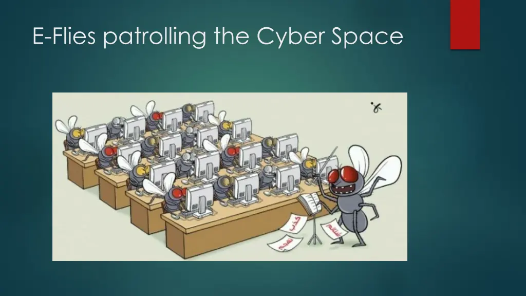e flies patrolling the cyber space