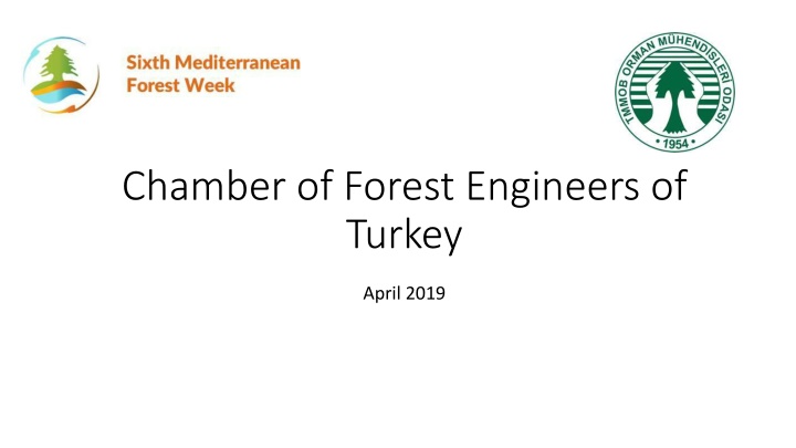 chamber of forest engineers of turkey