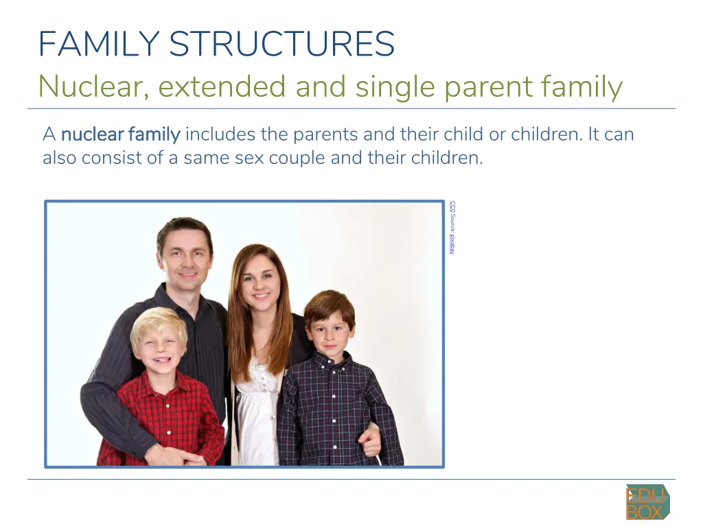 family structures nuclear extended and single 1