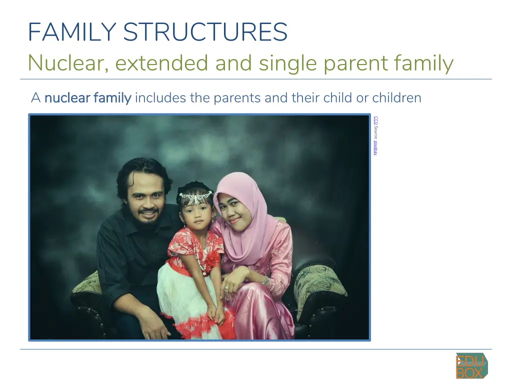 family structures nuclear extended and single 2