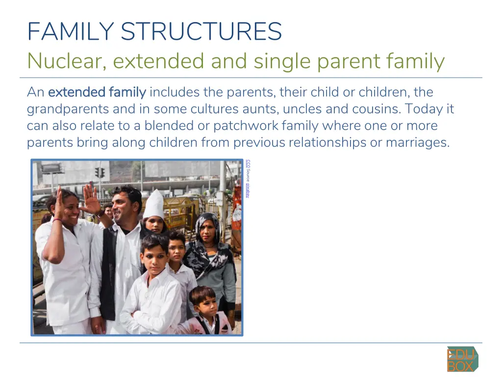 family structures nuclear extended and single 3