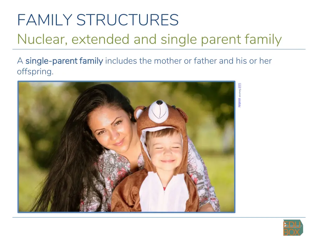 family structures nuclear extended and single 4