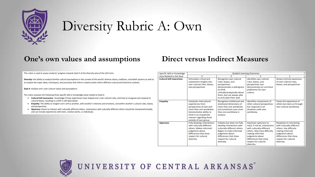 diversity rubric a own