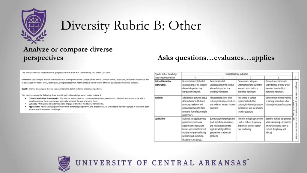 diversity rubric b other