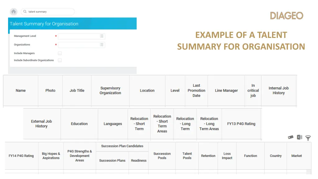 example of a talent summary for organisation