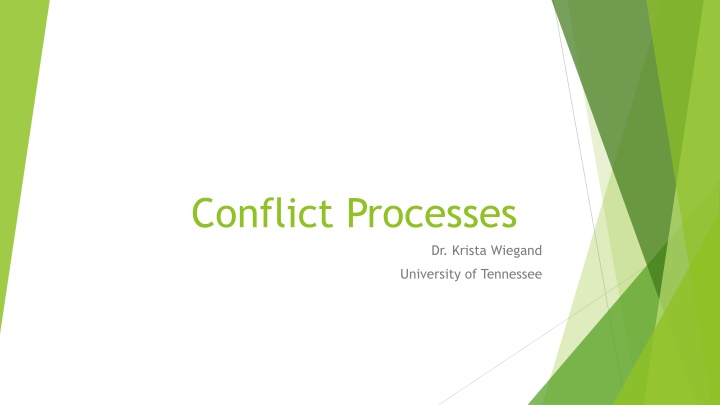 conflict processes
