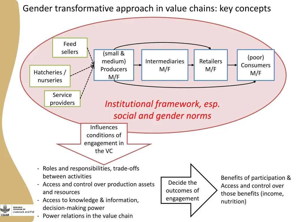gender transformative approach in value chains