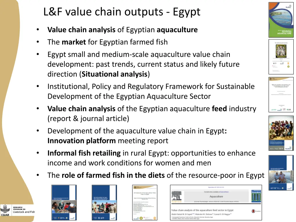 l f value chain outputs egypt