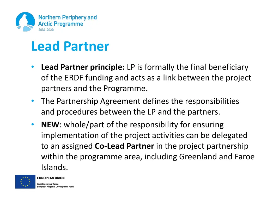 lead partner