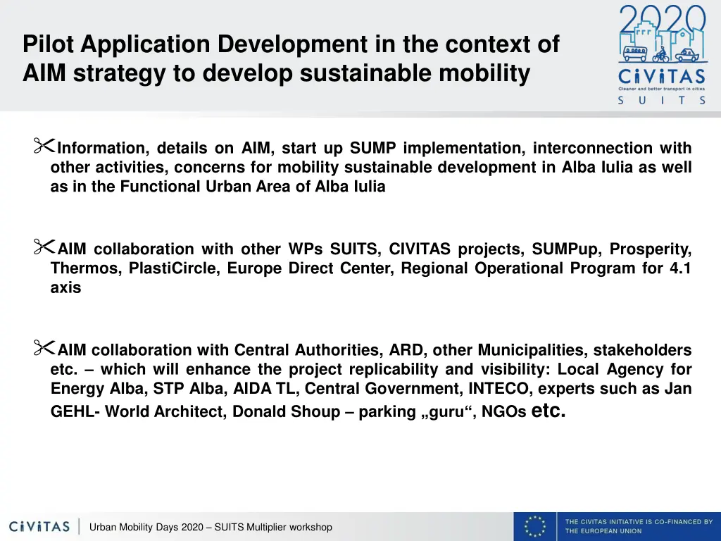 pilot application development in the context