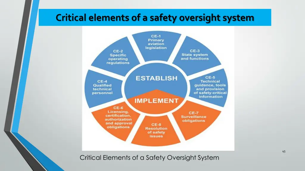 critical elements of a safety oversight system 1
