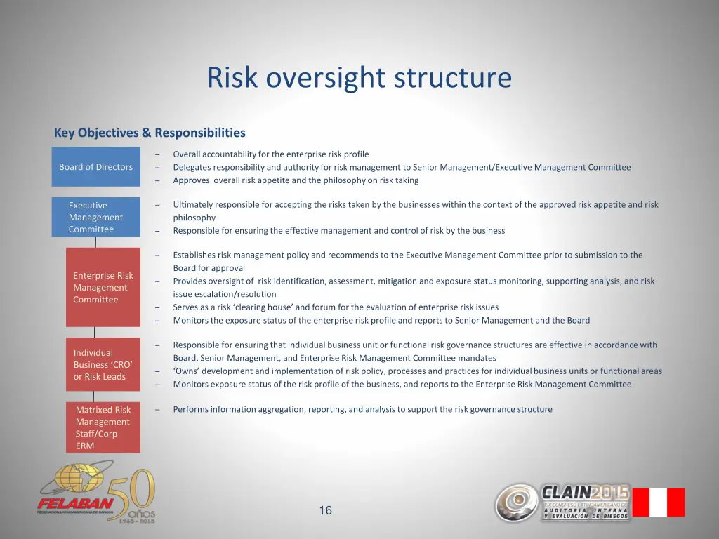 risk oversight structure