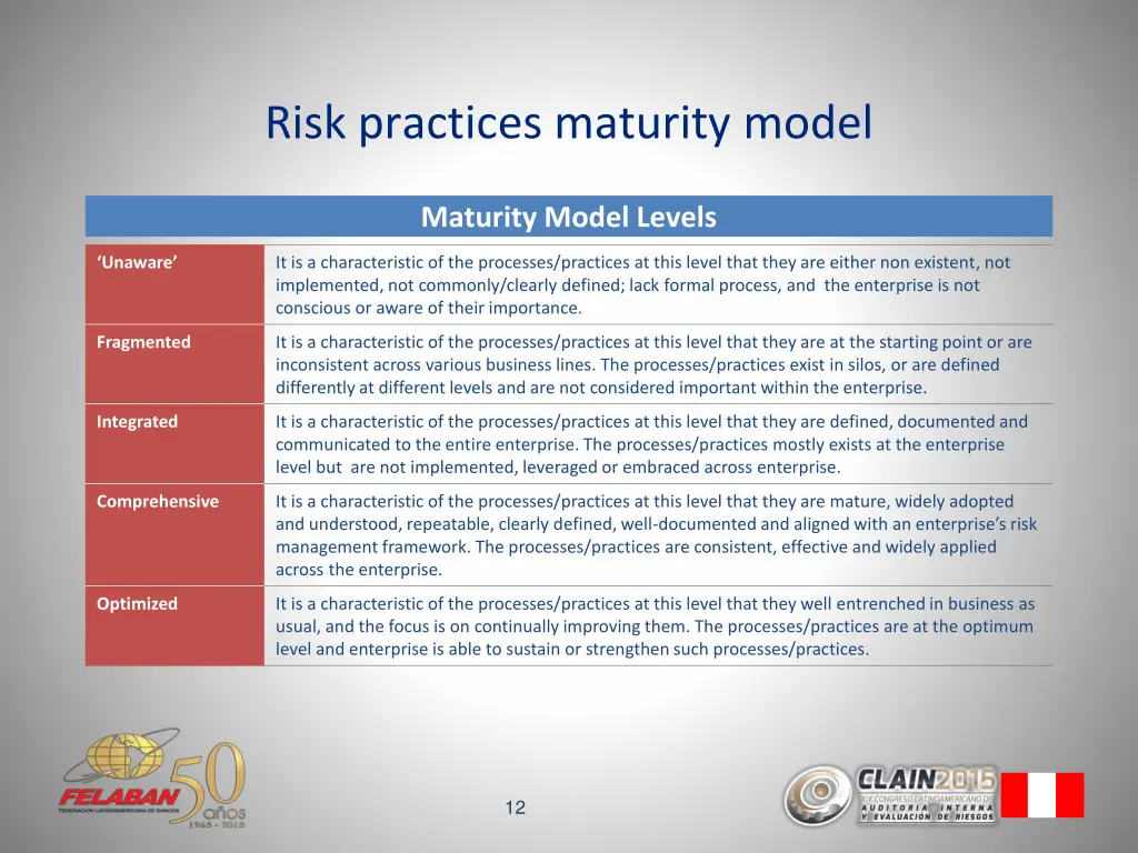 risk practices maturity model