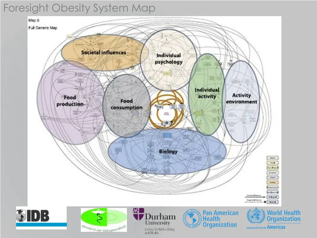 foresight obesity system map