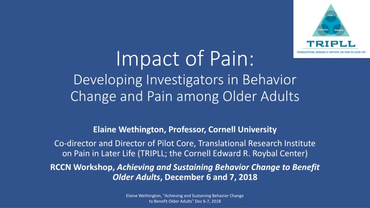 impact of pain developing investigators