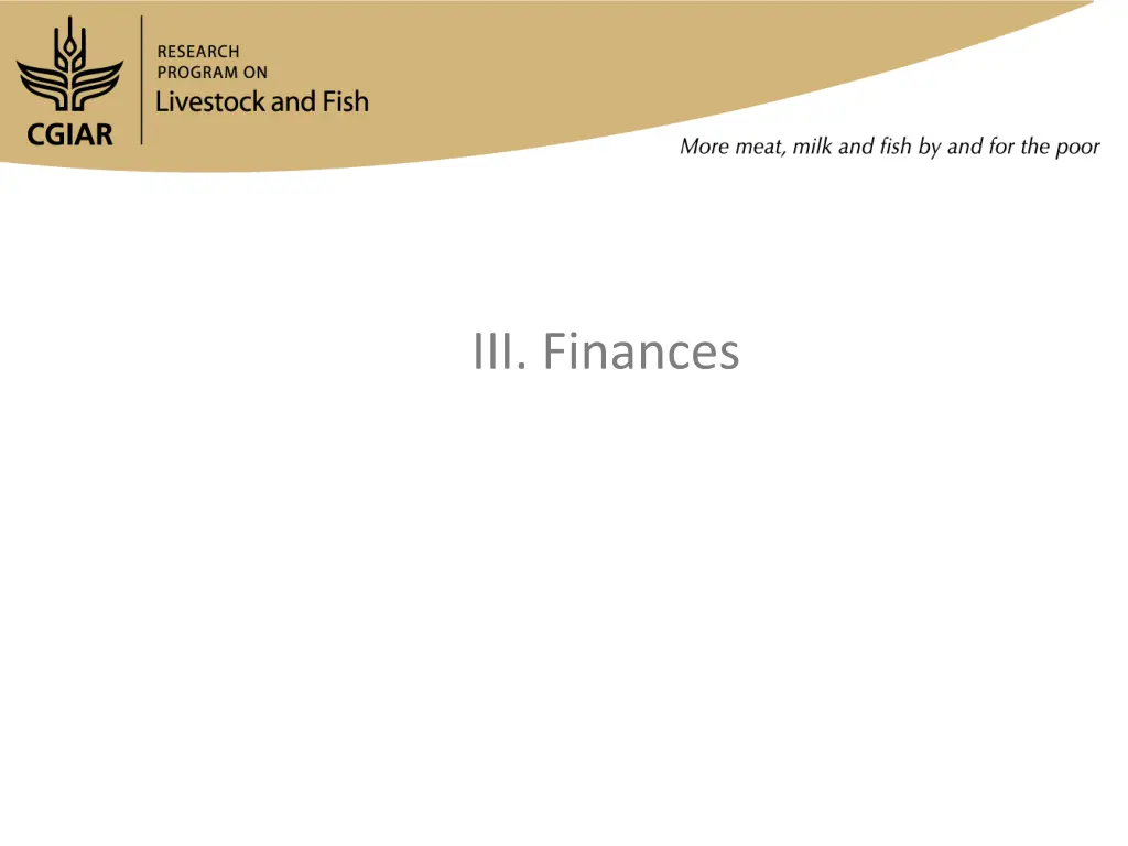 iii finances