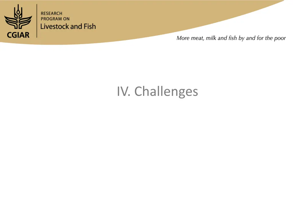 iv challenges
