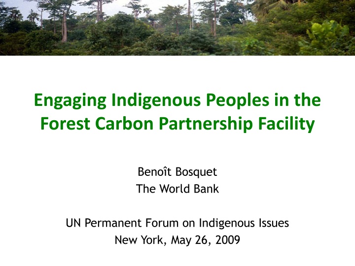 engaging indigenous peoples in the forest carbon