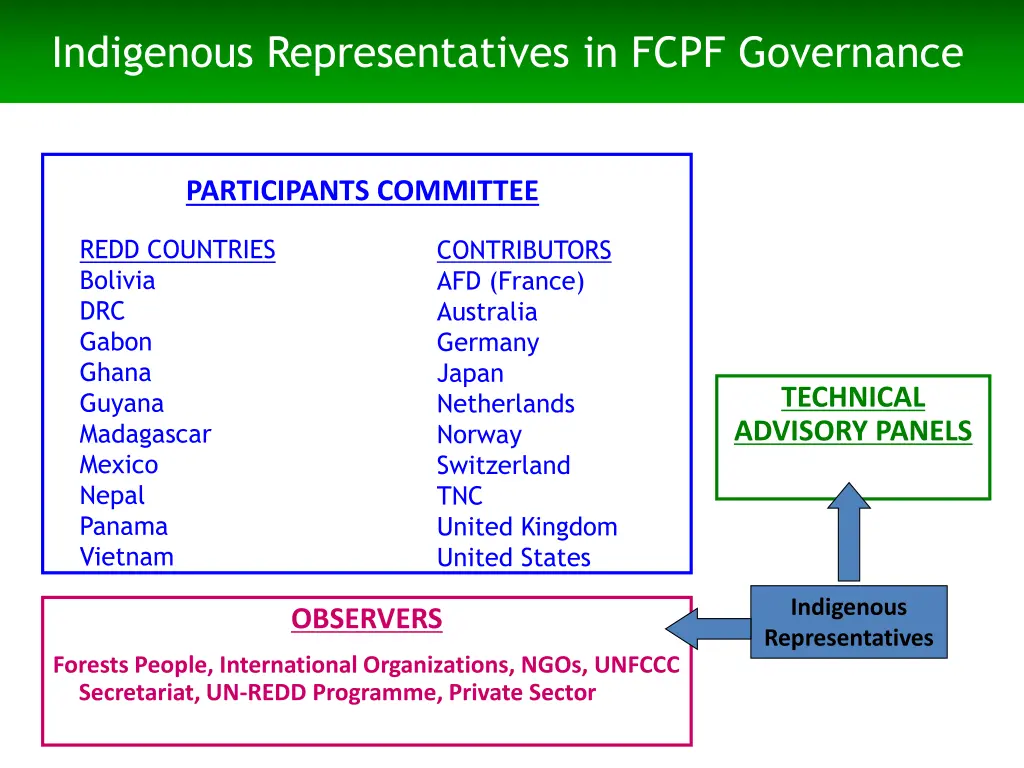 indigenous representatives in fcpf governance