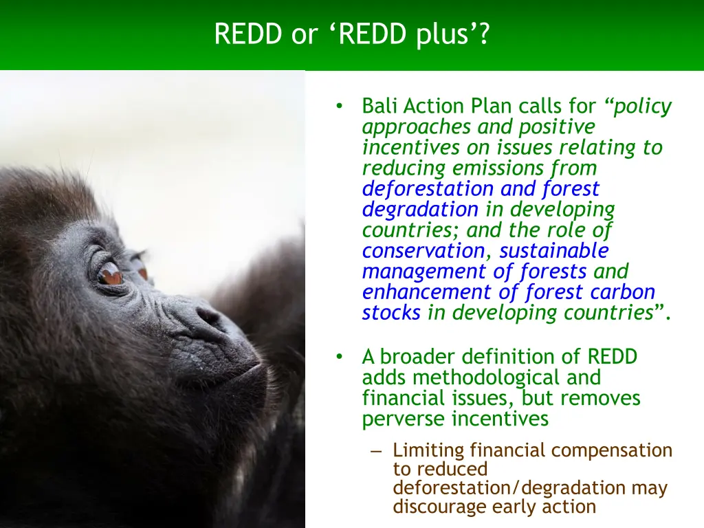 redd or redd plus
