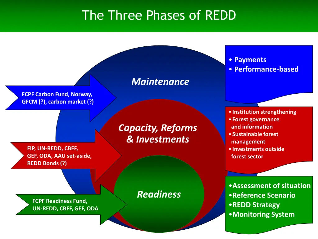 the three phases of redd