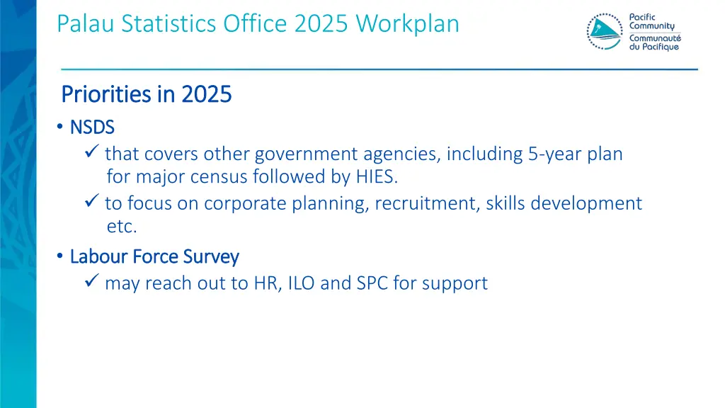 palau statistics office 2025 workplan