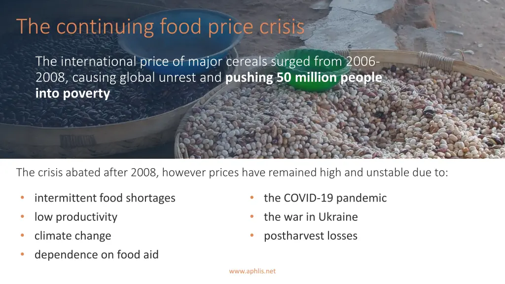 the continuing food price crisis