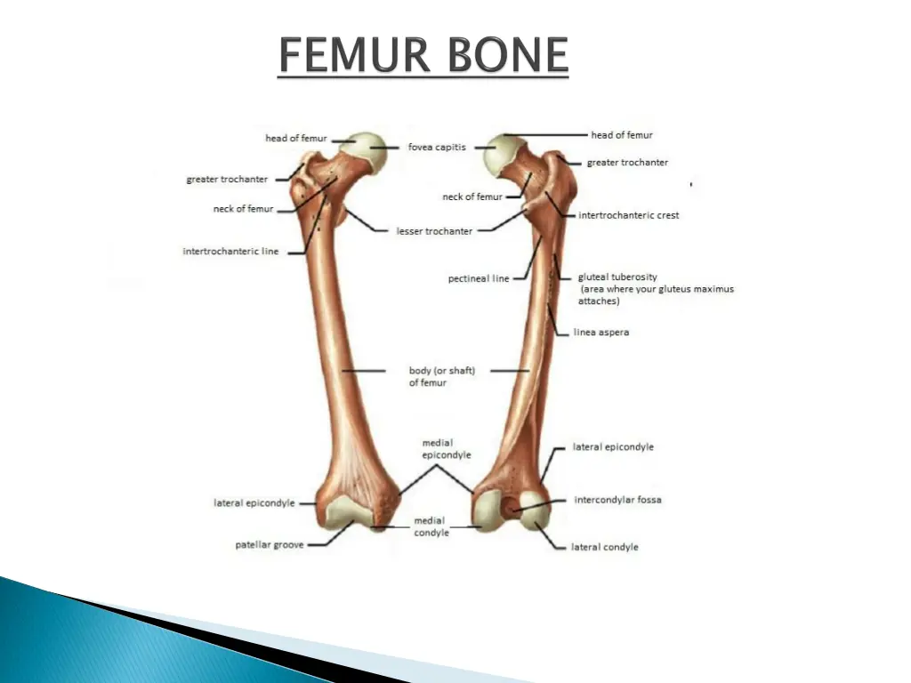 slide2