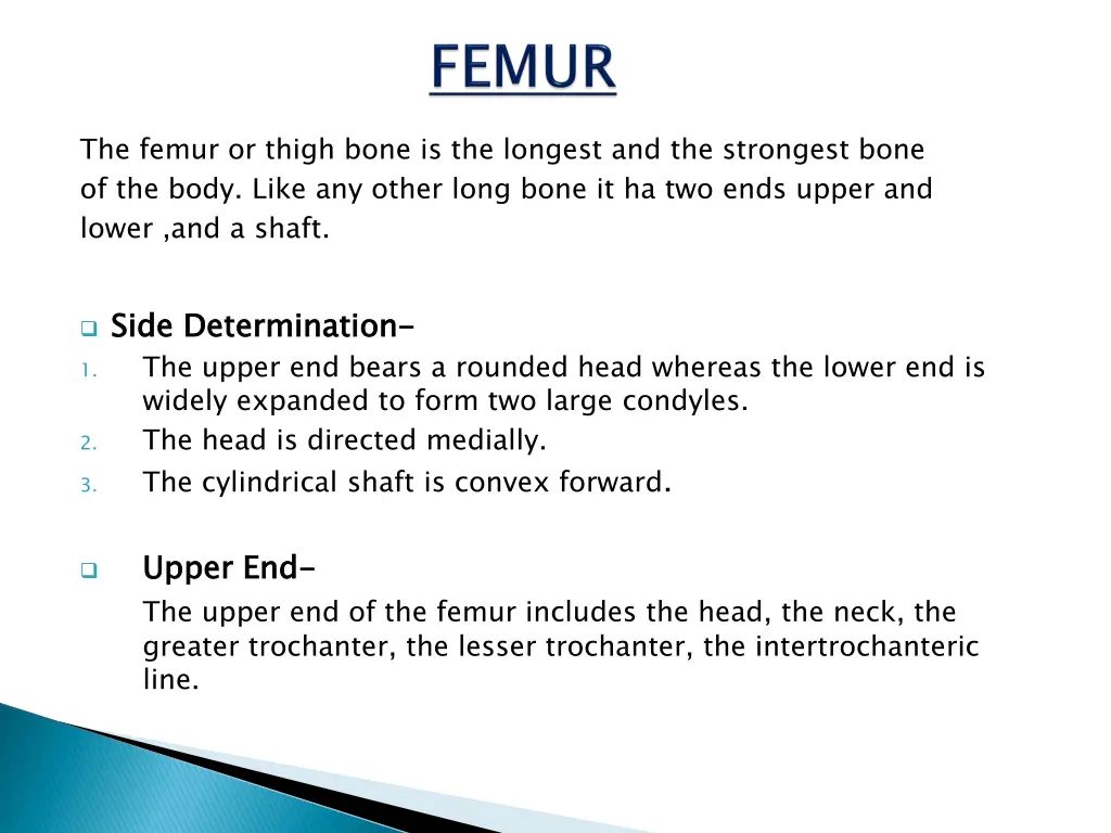 the femur or thigh bone is the longest