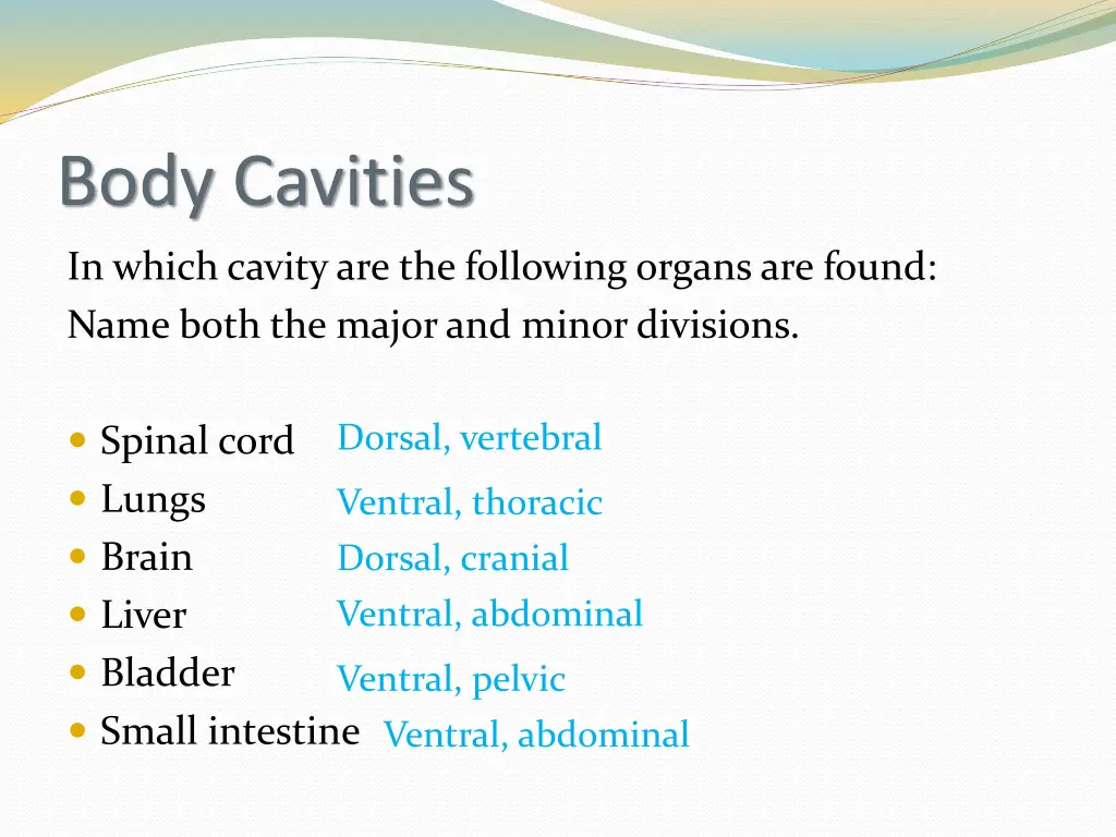 body cavities 1
