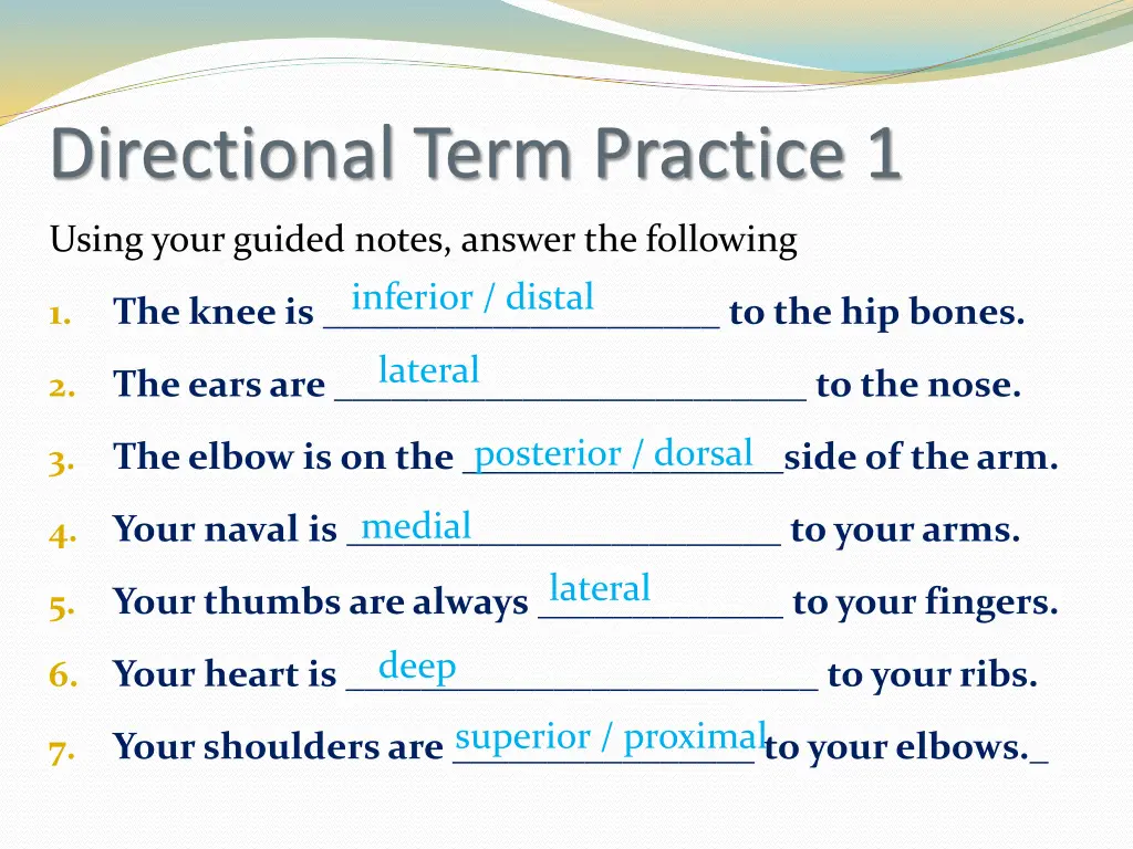 directional term practice 1