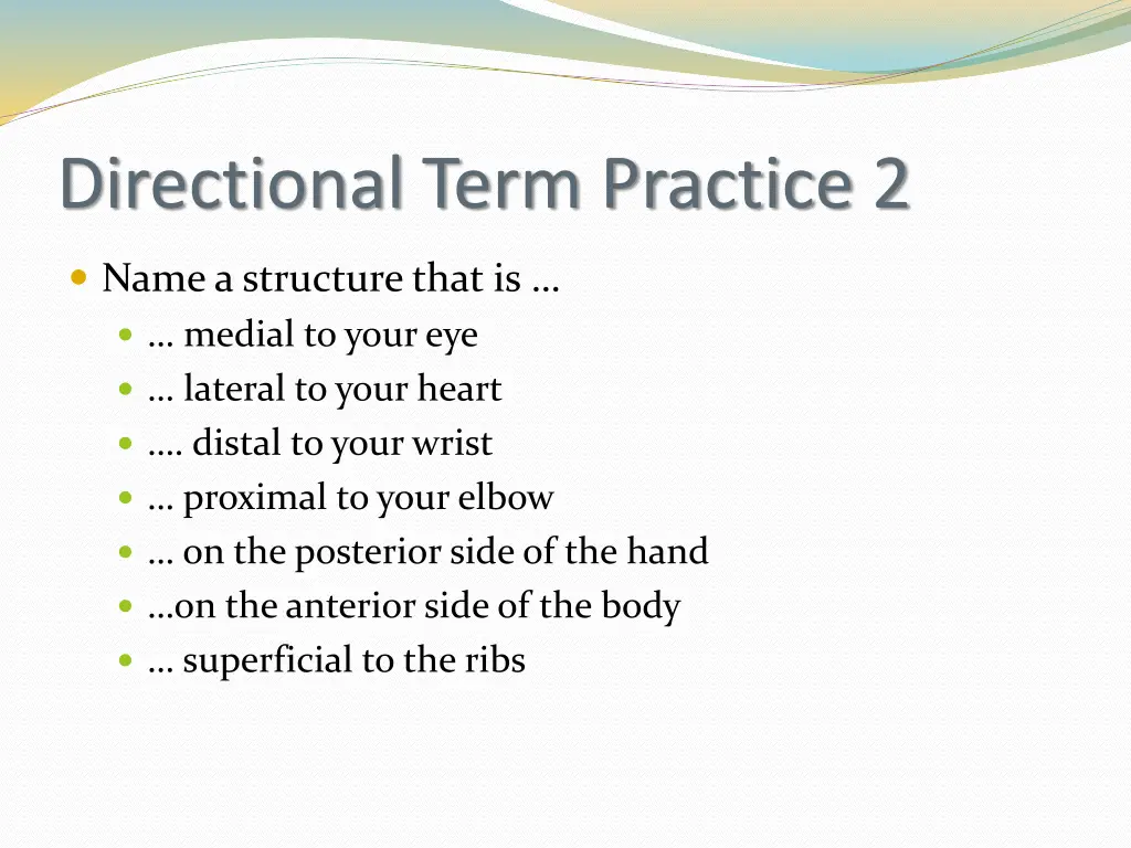 directional term practice 2