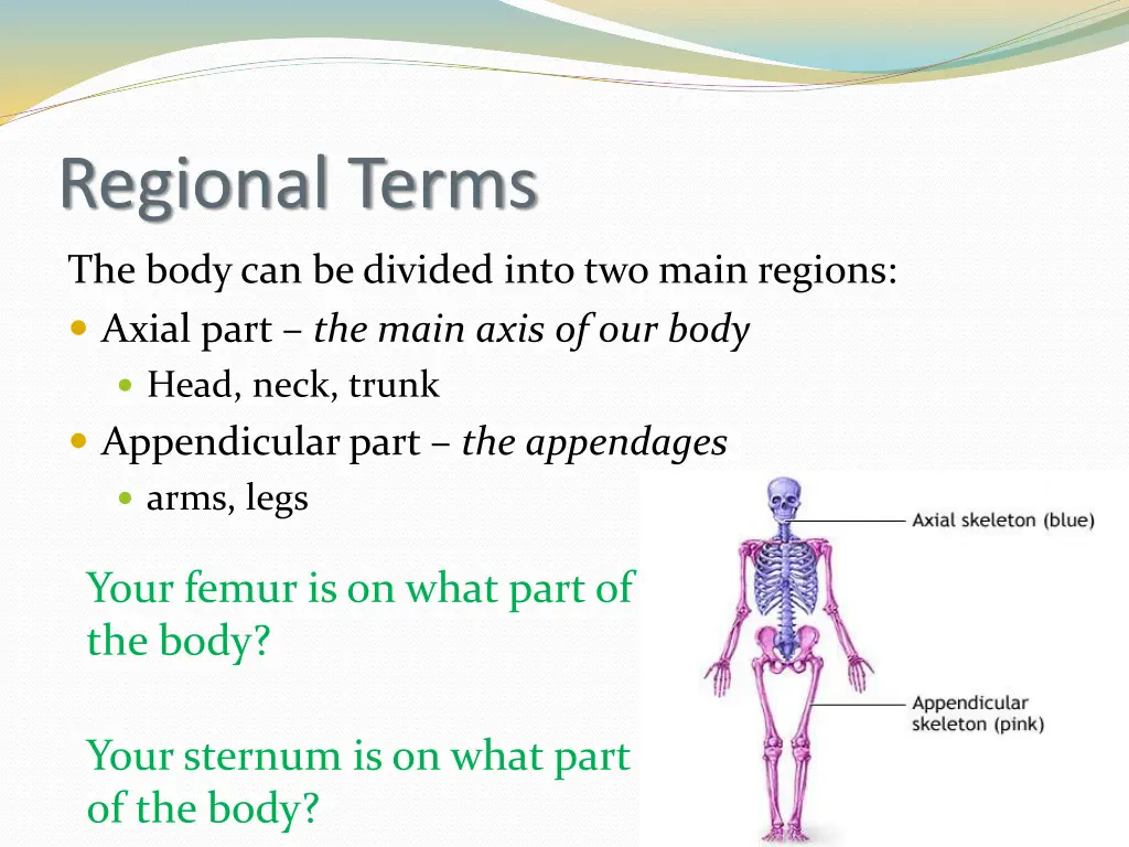 regional terms 1