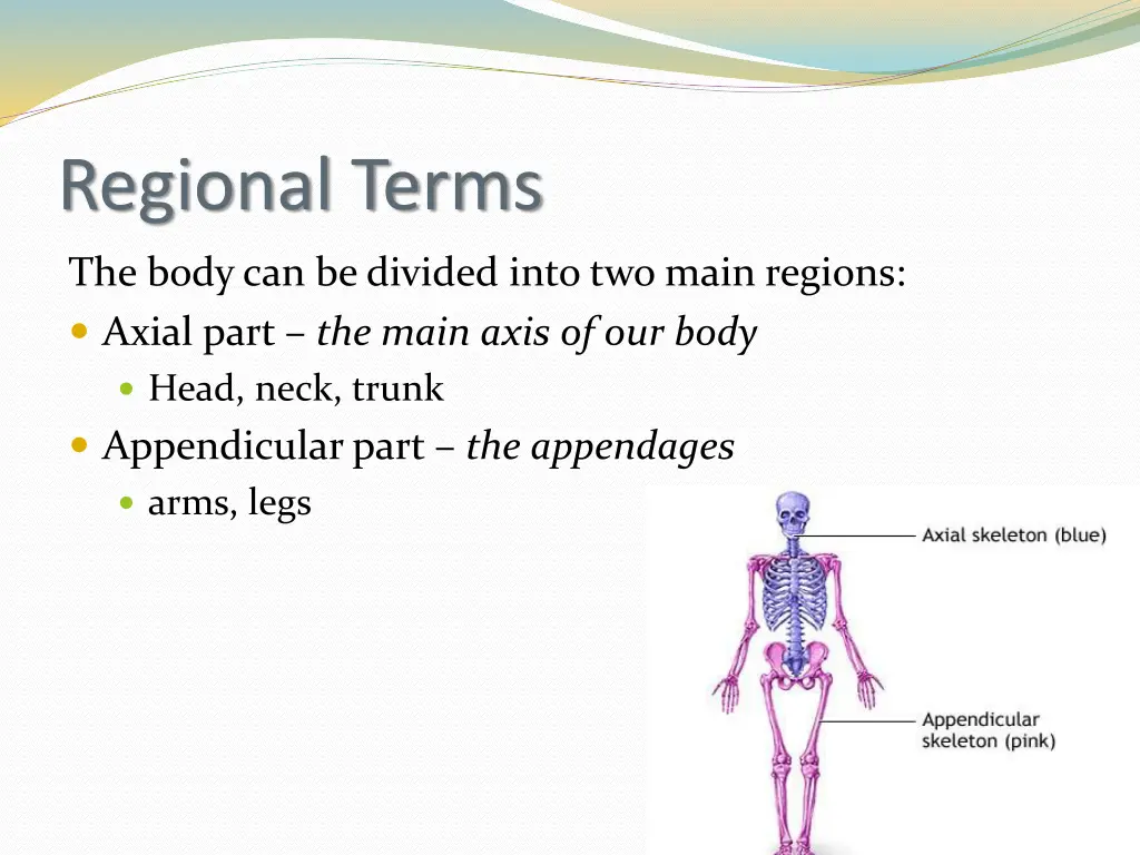 regional terms
