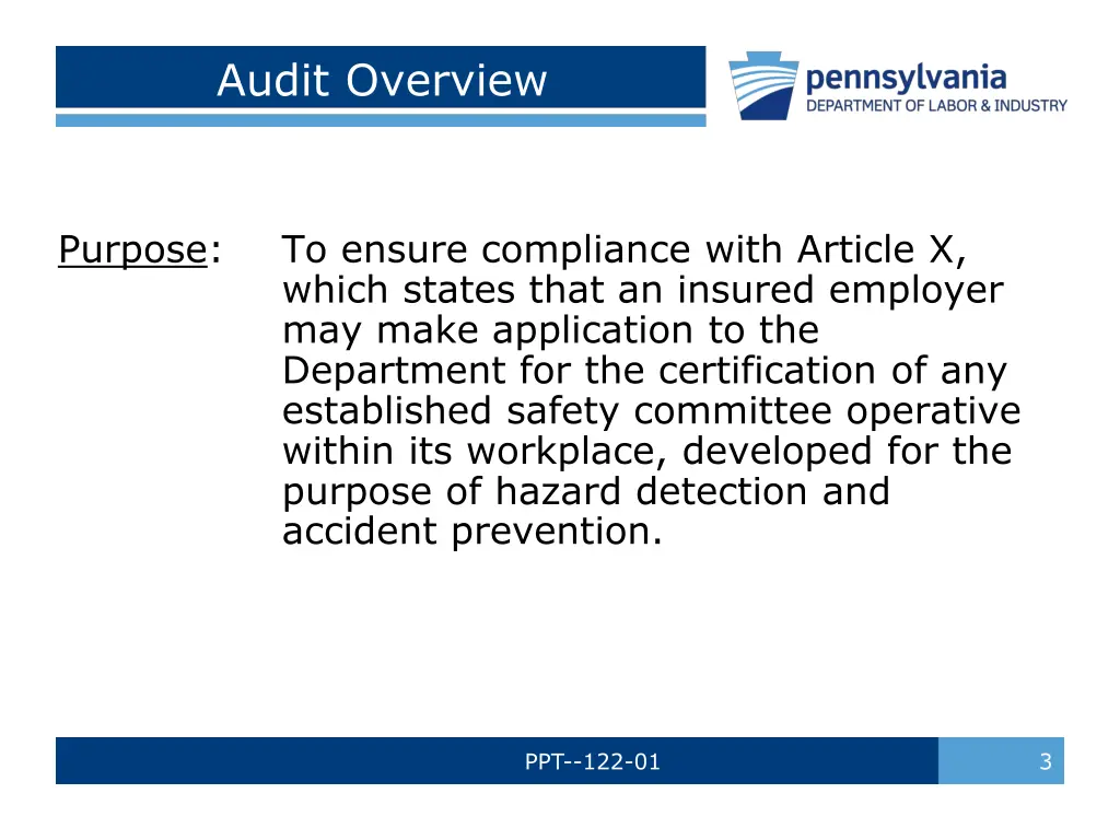 audit overview 1