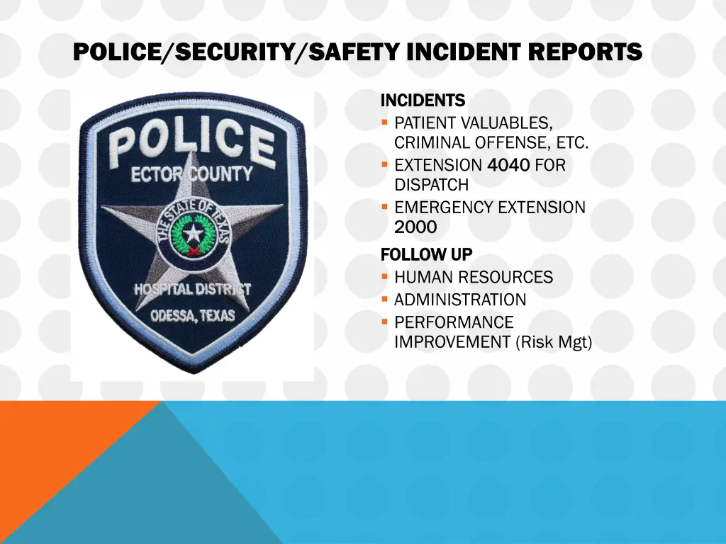 police security safety incident reports