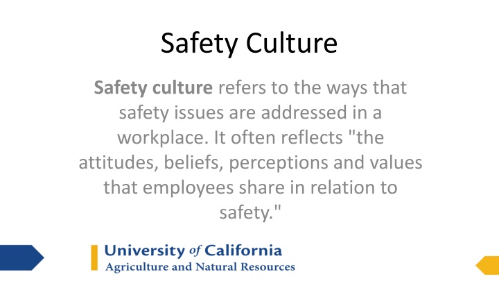 safety culture