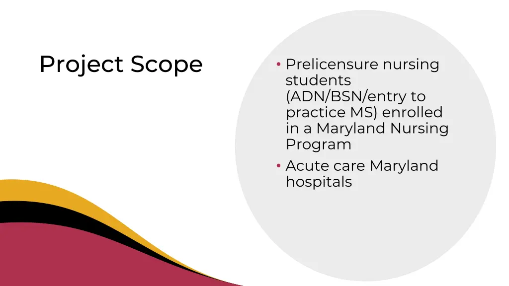 project scope