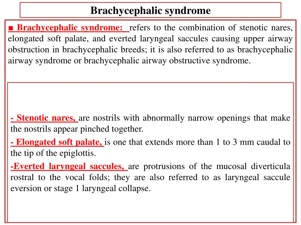 brachycephalic syndrome