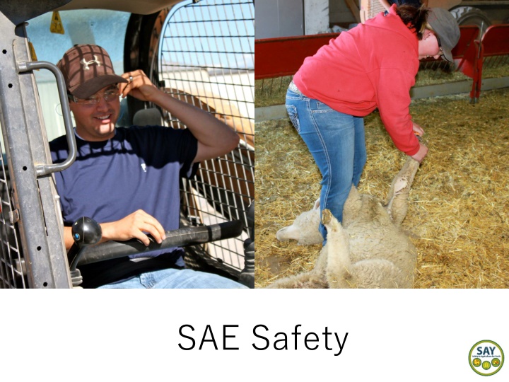 sae safety