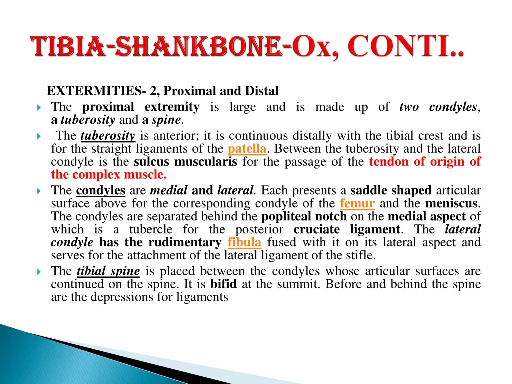 extermities 2 proximal and distal the proximal