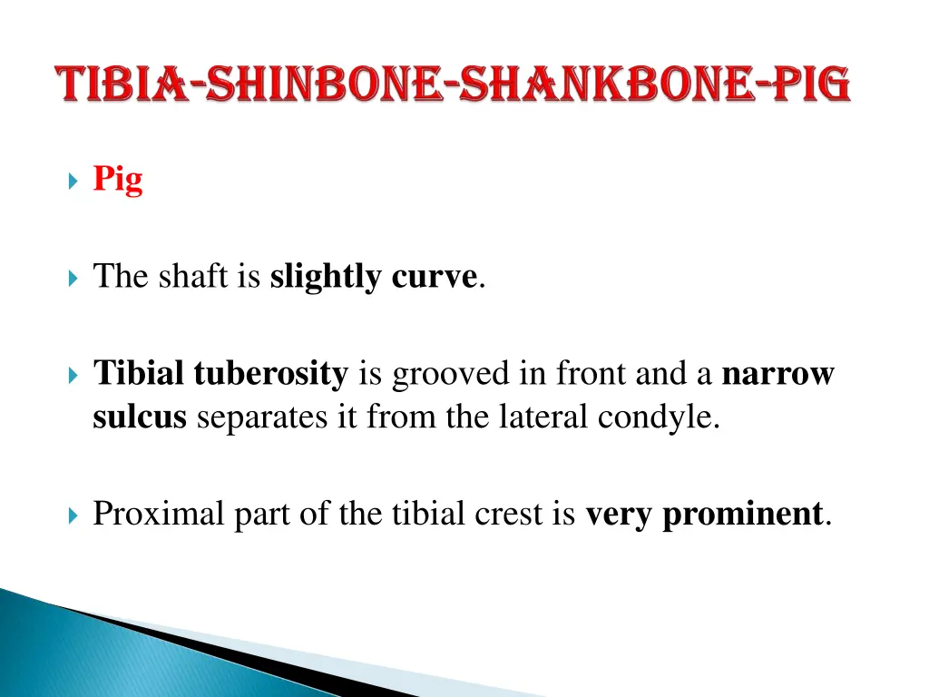 slide10