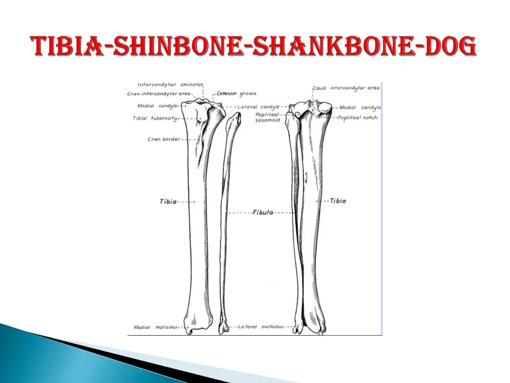 slide13